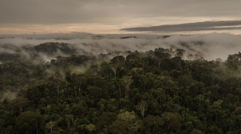 ITAITUBA, PARÁ, BRASIL, 02-06-2017: Equipe de elite do IBAMA faz operação contra garimpo na comunidade Aruri que serve como base de abastecimento a garimpeiros da região. (Foto: Avener Prado/Folhapress, COTIDIANO) Código do Fotógrafo: 20516 ***EXCLUSIVO FOLHA***