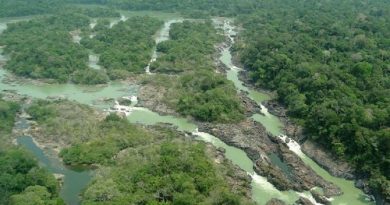 DATA: 13.01.2017 Situada a 1.600 km da capital Belem, entre os municipios de Itaituba e Trairao, o parque ambiental do Jamanxim e um santuario de 1.300 mil hectares onde vivem especies nativas da Amazônia.   FOTO:Divulgacao ***DIREITOS RESERVADOS. NÃO PUBLICAR SEM AUTORIZAÇÃO DO DETENTOR DOS DIREITOS AUTORAIS E DE IMAGEM***
