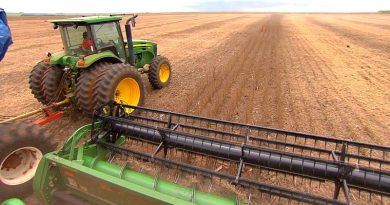 bl_agricultura_vale4