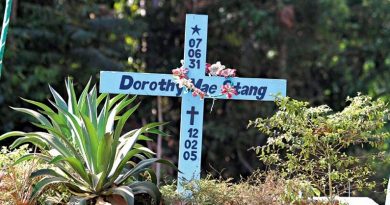 destaque-420302-dorothy