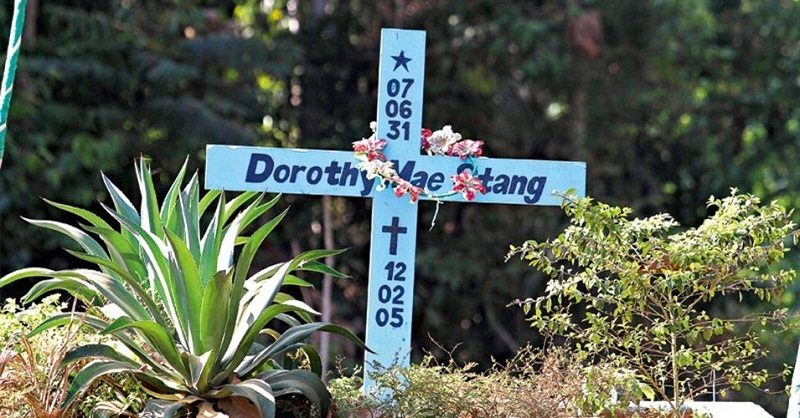 destaque-420302-dorothy