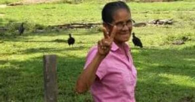 destaque-427211-moju888