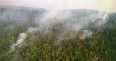 destaque-428642-20151003114417