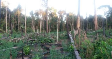 e513c4b6-d44b-425a-a170-8571efe3947c