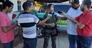 ibama novo progresso