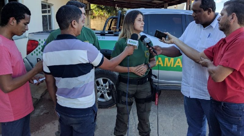 ibama novo progresso