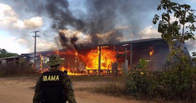 Serrraria destruida por falta de licença em Moraes Almeida (Foto Divulgação Ibama)