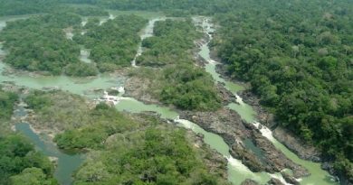 DATA: 13.01.2017 Situada a 1.600 km da capital Belem, entre os municipios de Itaituba e Trairao, o parque ambiental do Jamanxim e um santuario de 1.300 mil hectares onde vivem especies nativas da Amazônia.   FOTO:Divulgacao ***DIREITOS RESERVADOS. NÃO PUBLICAR SEM AUTORIZAÇÃO DO DETENTOR DOS DIREITOS AUTORAIS E DE IMAGEM***