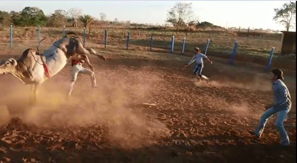 Peão morre pisoteado em Festa do Peão de Rodeio, vídeo!