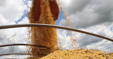 CASCAVEL/PR - 16-02-2011 - Colheita e plantação de soja no interior de Cascavel. Foto Jonas Oliveira