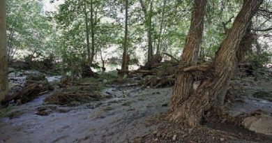 destaque-433853-17197185