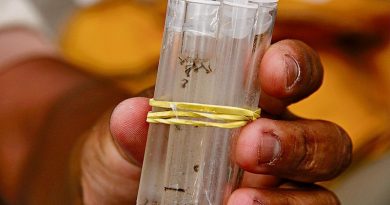 destaque-437329-chig