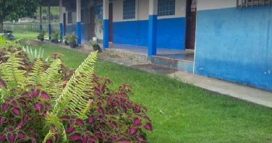 escola cecilia meireles