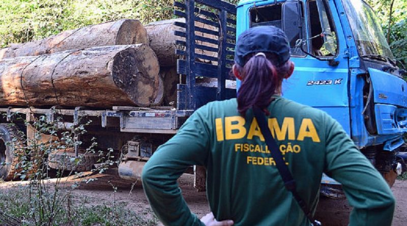 ibama novo progresso 1