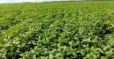 whatsapp-image-2017-07-21-at-11.18.15