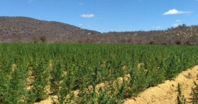 16coorpinacaoconjunta