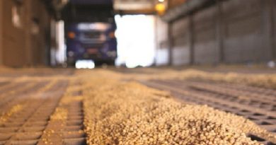 O movimento de caminhões rumo ao Porto de Paranaguá para desembarcar a safra de grãos 2009/2010 - que deverá ser recorde - aumentou quase 200% entre a semana passada e esta. O cálculo levou em consideração o número de veículos que começou a circular pelo Pátio Público de Triagem, onde a passagem das cargas de soja, milho e farelos para a pré-classificação é obrigatória. A média diária de aproximadamente 300 caminhões subiu para mais de 800, indicando uma antecipação operacional da safra