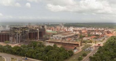 96705465mineradorahydroalunorteemmeioaflorestaamazonicanopara-credjoaoramidhydroalunorte