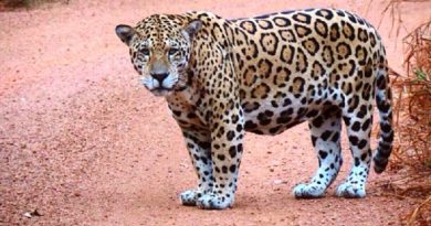 EG_jealrueqfh1odzkyhuzaccasjbyya9d1ilbi4wgzgb2gnq0b