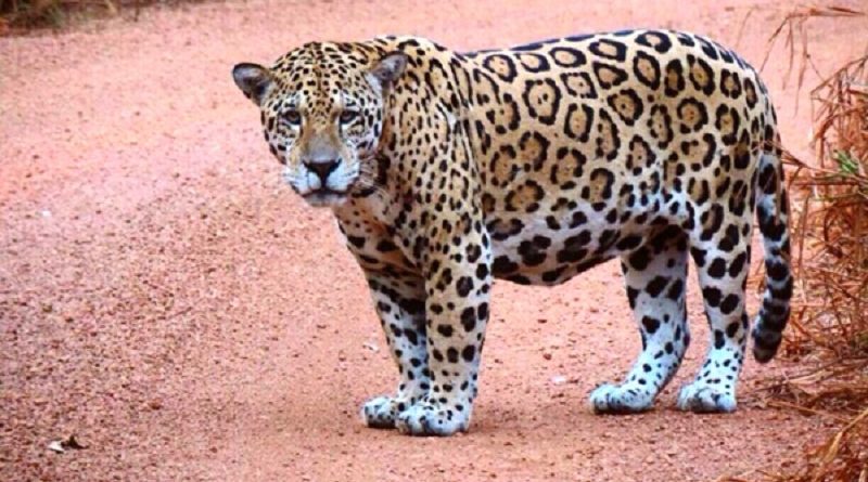 EG_jealrueqfh1odzkyhuzaccasjbyya9d1ilbi4wgzgb2gnq0b