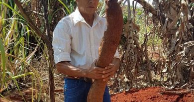 cara-gigante-2