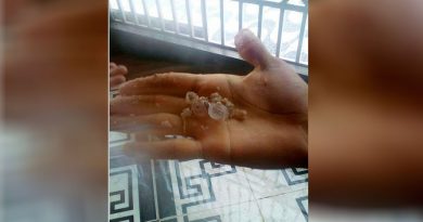 destaque-444180-orixi-2