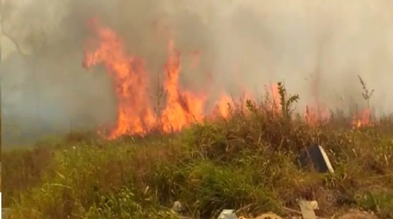 fogo queimadas novo progresso