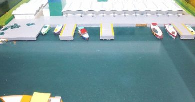 mpa_terminal_pesqueiro_publico_de_belem_