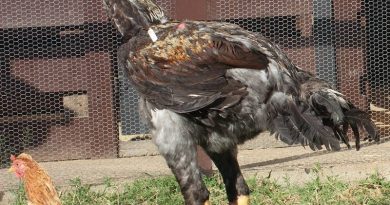 1505175431263-5282032