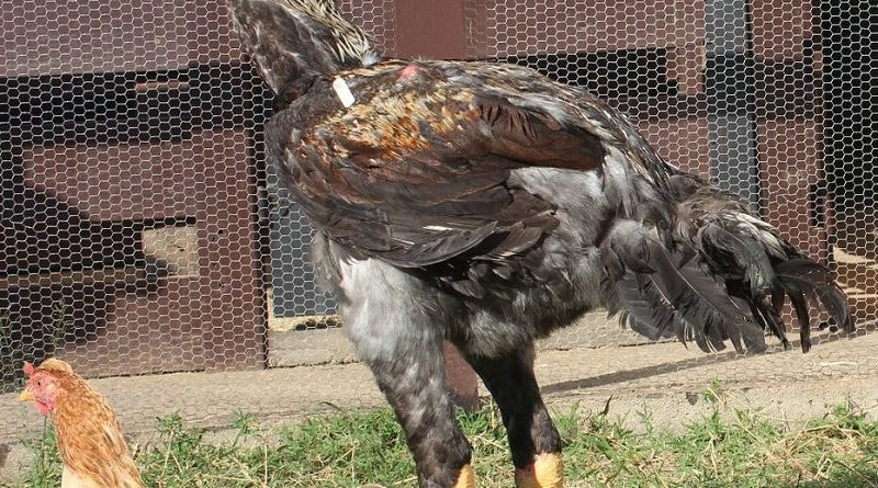 1505175431263-5282032