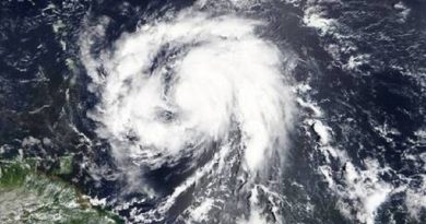 6sdl3xr3d1_3pgogwo7dg_file