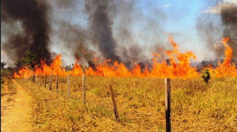 Captura-de-Tela-2017-07-17