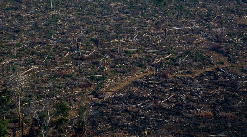 O fogo é usado tradicionalmente na Amazônia como uma técnica barata para abrir pastos para o gado ou mesmo áreas de pequenos cultivos.