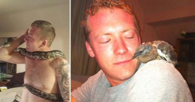 a48d626d09ff45e0a21519cc806e7262