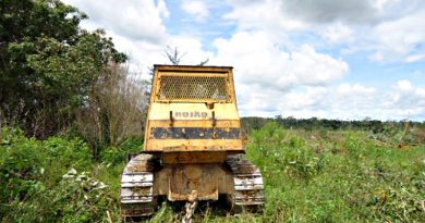 Manaus- AM- Brasil- 22/03/2015- O desmatamento da Amazônia foi de 42 quilômetros quadrados em fevereiro de 2015, um aumento de 282% em relação ao mesmo mês do ano anterior, quando foram devastados 11 quilômetros quadrados.Os números são do SAD (