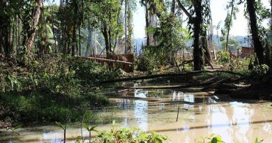 desmatamento_maica_2