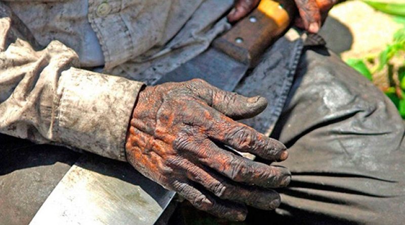 destaque-448356-140919-trabalho-escravo_redenewsbahia584