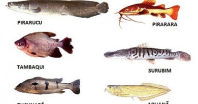 eeeaa52fa6ac59a5f753a419bedf334b