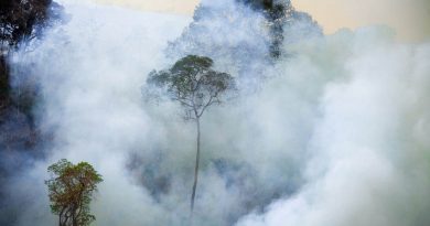 Área em chamas na Floresta Nacional de Jamanxim. O fogo é usado para destruir a floresta