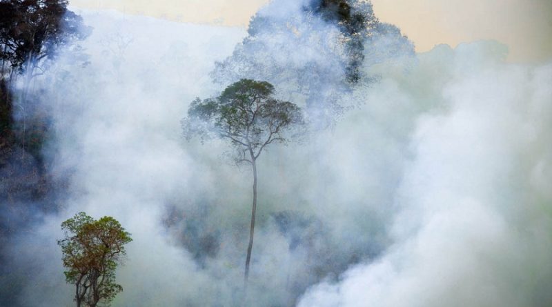 Área em chamas na Floresta Nacional de Jamanxim. O fogo é usado para destruir a floresta