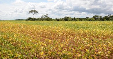 3819d025ea53bc5f128324b9a4553735