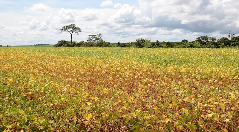 3819d025ea53bc5f128324b9a4553735