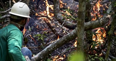 PauloBrandoFogo2016-115