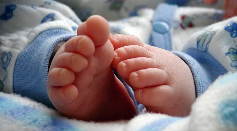 destaque-458943-bebe_divulgacao