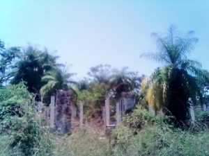 Fordlandia-Ruínas do antigo hospital