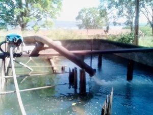 Fordlandia- Filtro de distribuição de água .