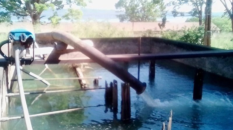 Fordlandia- Filtro de distribuição de água .