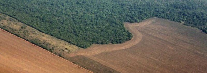 images_cms-image-000565556