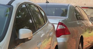 leilao_cabeca_branca