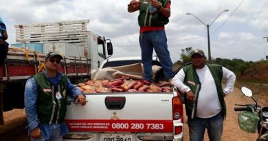 Uma equipe da Agência de Defesa Agropecuária do Pará (Adepará), da regional de Tucuruí, apreendeu na tarde desta terça-feira (3), no município de Novo Repartimento, 1.286 kg de polpas de frutas (foto) que estavam transitando de forma ilegal no município. Segundo os técnicos da agência, não havia registro e nem acondicionamento correto do produto. Após a apreensão, a carga foi destruída no local.
FOTO: ASCOM / ADEPARÁ
DATA: 03.10.2017
NOVO REPARTIMENTO - PARÁ